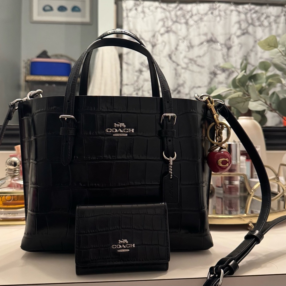 Coach bundle bag and wallet